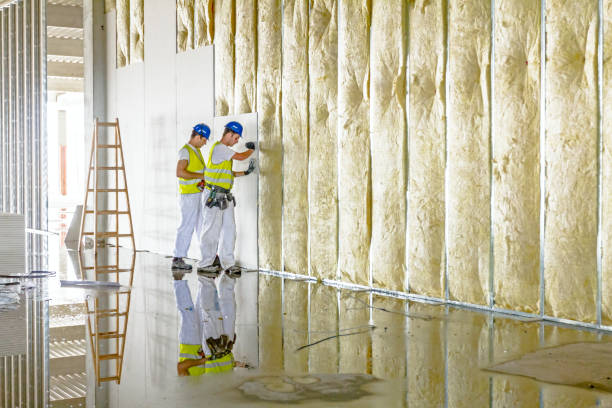 Best Insulation Repair Services  in Panama City, FL